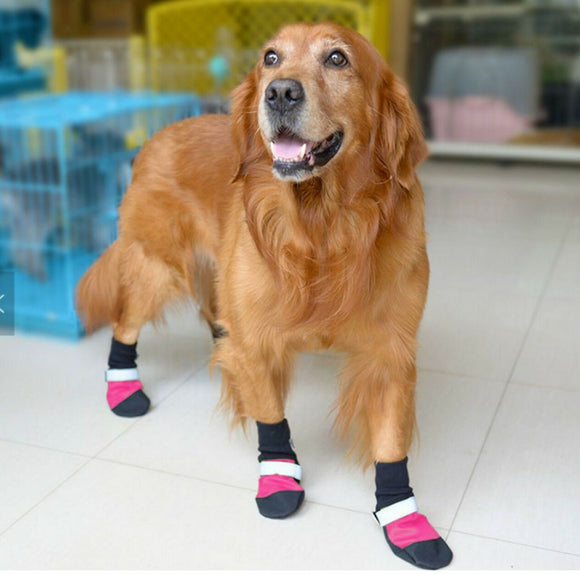 4 pcs Dog boots shoes waterproof sole Helps protect against alabama rot