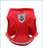 Dog breathable vest harness & matching lead . (good for Puppies too)
