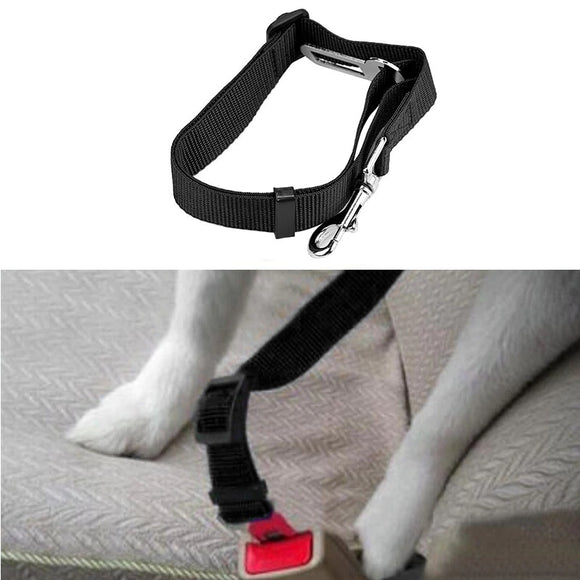 Dog Car seat belt. clips into seat belt buckle and adjustable